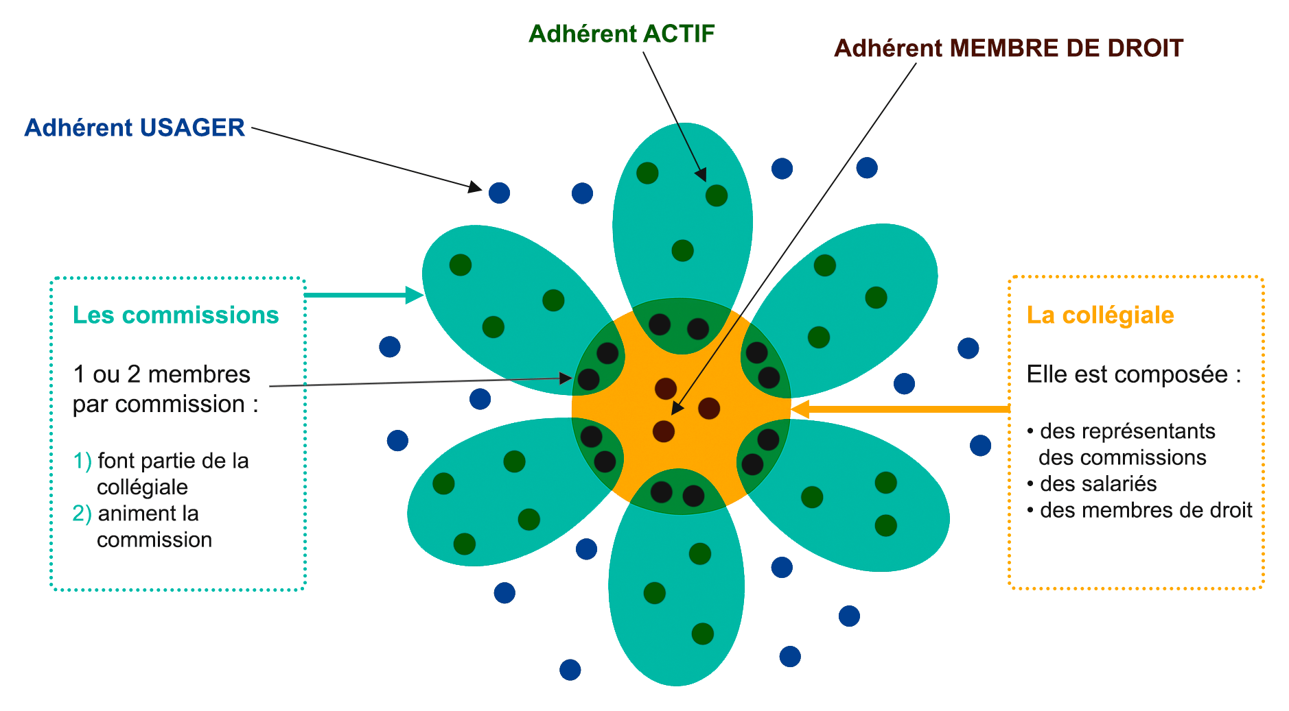 Schema fleur collegiale optimise
